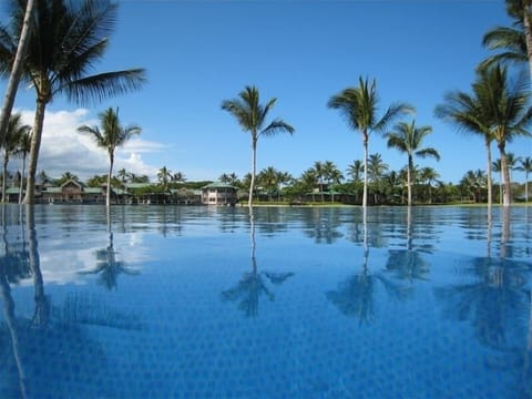 Infinity Edged Pool with Lava Hot Tub, 9 Gas Grills, Open Air Fitness Room.