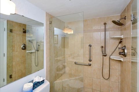 Combined shower/tub, hair dryer, towels