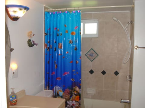 Combined shower/tub, hair dryer, towels, soap