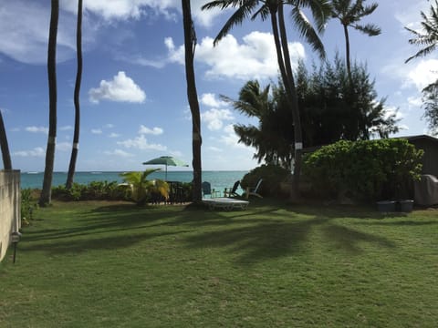 The beachfront yard. (Bocce balls available)