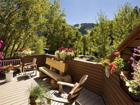 View of Aspen Mountain from main deck