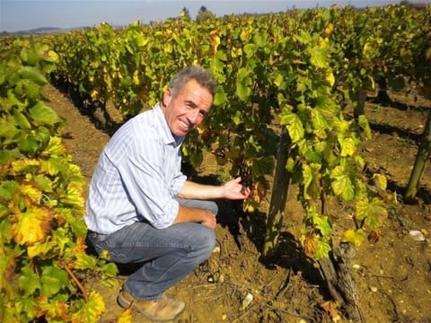 Explore the the Cote de Nuits & Beaune with Wine Expert Brendan Moore