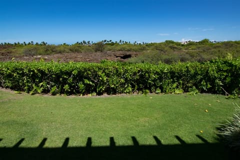 Explore the lava fields in Mauna Lani