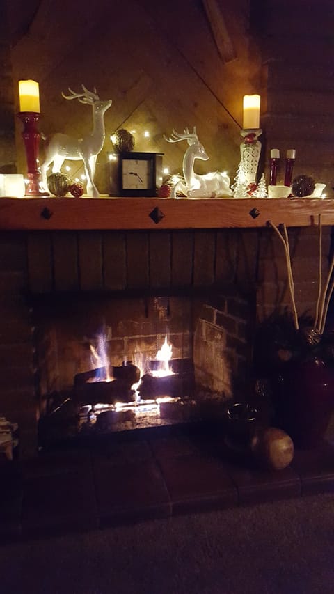 Romantic Gas Log Fireplace