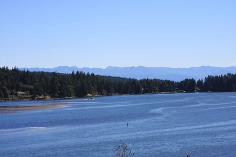 Good fishing just a mile or two away.