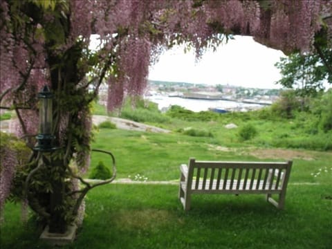 View from a bench on the property overlooking the harbor.
