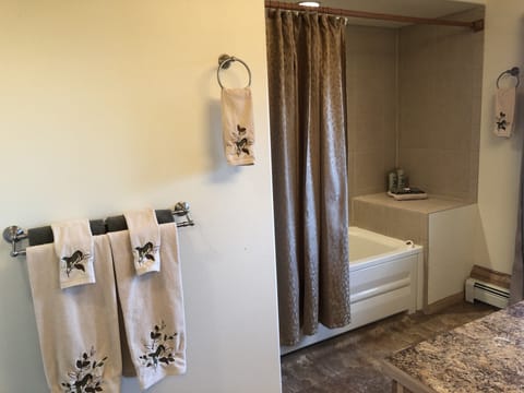 Combined shower/tub, jetted tub, hair dryer, towels