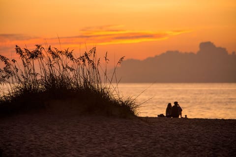 On the beach