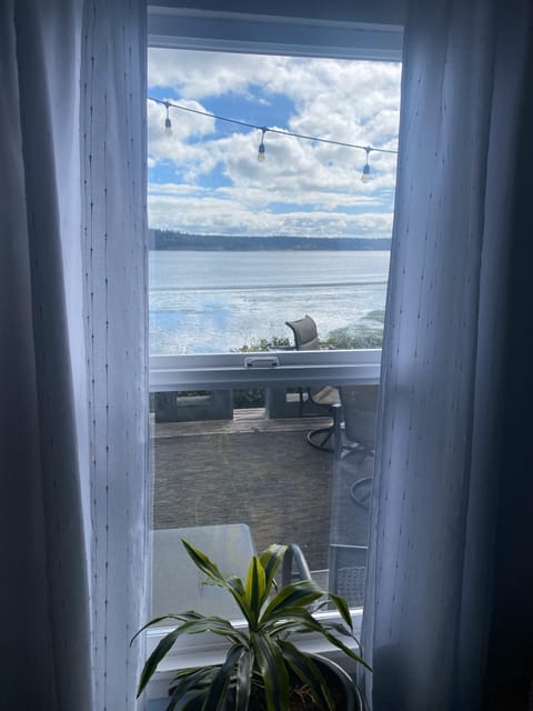 View from the downstairs bedroom