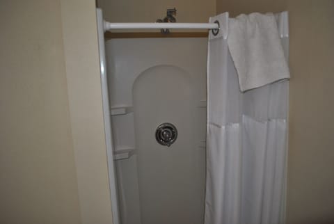 Shower, jetted tub, hair dryer, towels