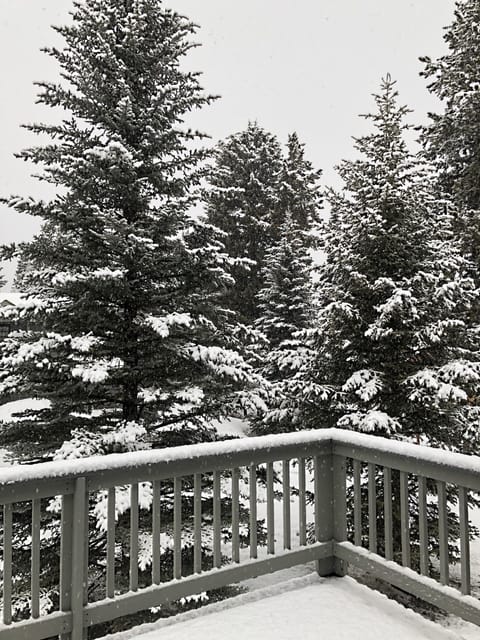 View and snow on deck