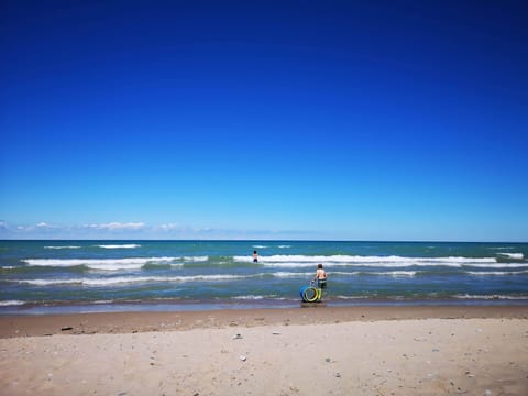 Beach nearby, sun loungers