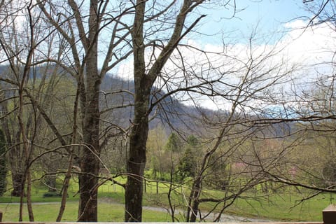 Breathtaking view of Rich Mountain from the side deck!