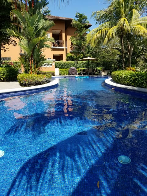 One of the six Veranda pools. Located directly behind our condo.

