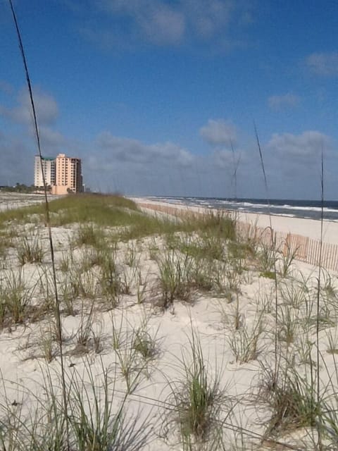 On the beach