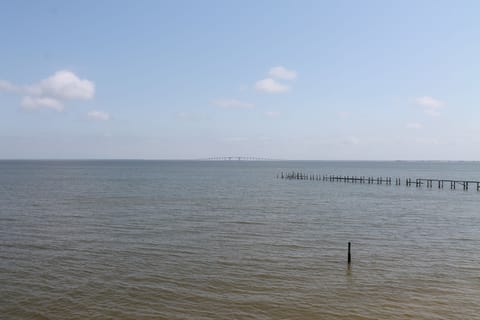 View From Upper Deck