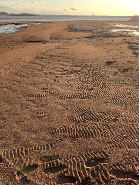 On the beach, sun loungers, beach towels