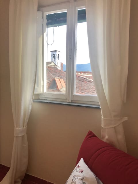 Views from window in master bedroom