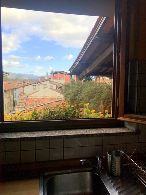 View of the red rooftops and distant mountains from kitchen window