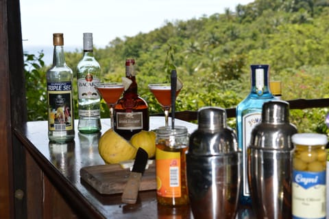 Enjoy the View from our Bar with a delicious Cocktail "Amazing Villa Style".