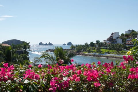 view from the terrace