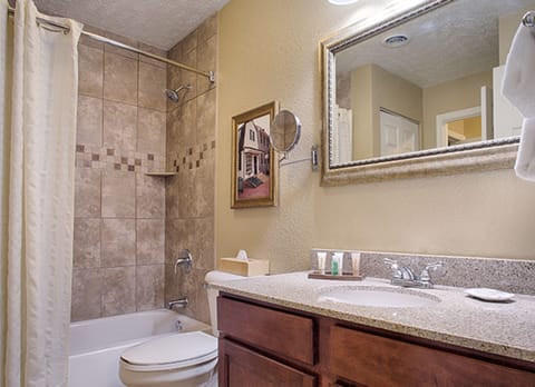 Combined shower/tub, hair dryer, towels