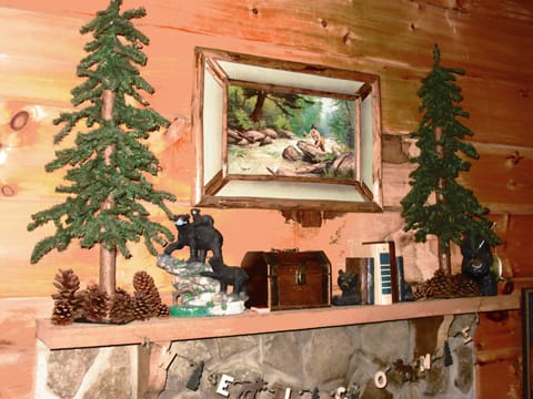 Wood burning fireplace