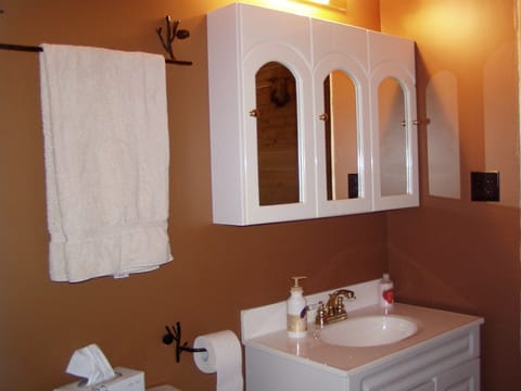 Bathroom on main floor - contains shower and washer & dryer