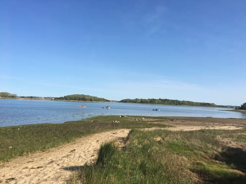 Beach nearby, sun loungers