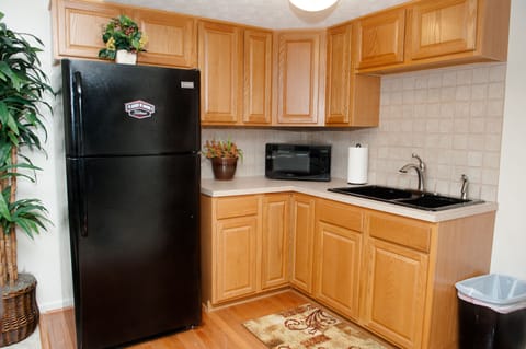 Full-size fridge, microwave, oven, stovetop