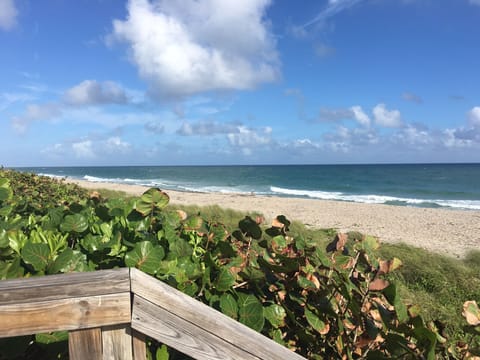 Beach nearby, sun loungers, beach towels