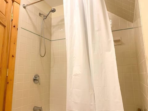 Master Bathtub/Shower