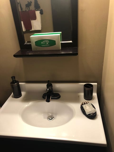 Combined shower/tub, hair dryer, towels, soap