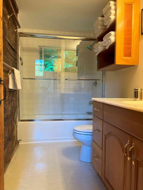 Combined shower/tub, hair dryer, towels, soap