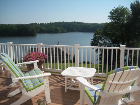 Welcome to Plentiful Bliss!