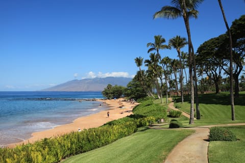 Beach nearby, sun loungers, beach towels