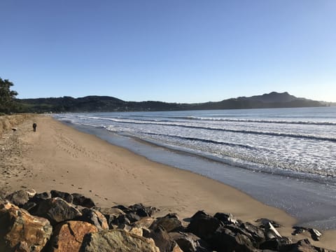 Beach nearby, sun loungers