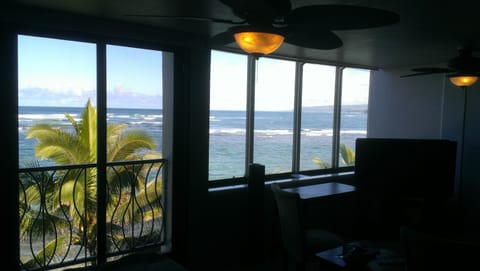 180 degree ocean views from the ocean side windows