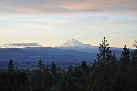 View from The deck