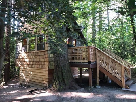The tiny cabin - enjoy your privacy in this secluded treed setting.