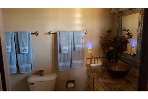 Combined shower/tub, hair dryer, towels, soap