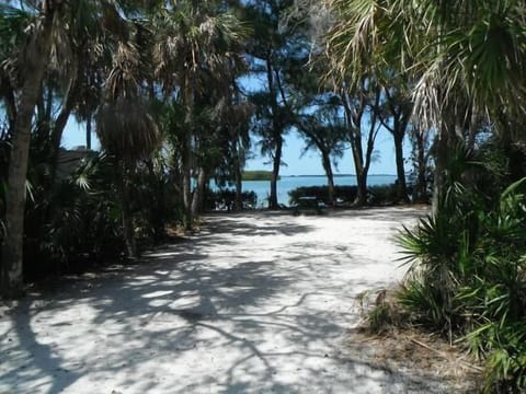 Sun loungers, beach towels