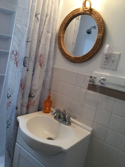 Combined shower/tub, hair dryer, toilet paper