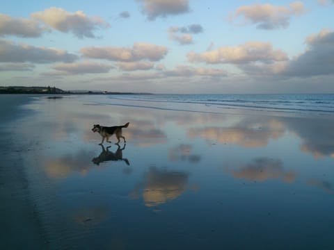 On the beach