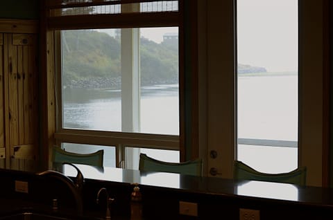 View from the kitchen counter.