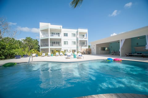 Outdoor pool, a heated pool, sun loungers