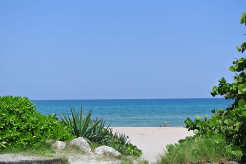 On the beach, sun loungers, beach towels