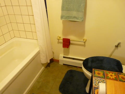 Combined shower/tub, hair dryer, bidet, towels