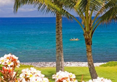 On the beach, sun loungers, beach towels