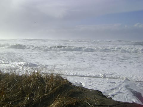 ANGREE OCEAN FROM BEACH TRAIL